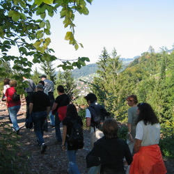 2004 Ausflug Wasser-Wald-Wein
